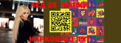 гашик Кулебаки