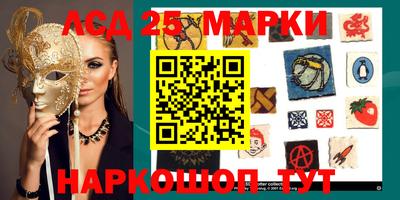 гашик Кулебаки