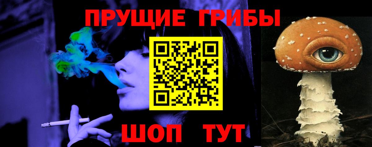 Псилоцибиновые грибы Psilocybe Калуга